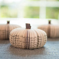 Book Pumpkin Cutie Halloween Decor