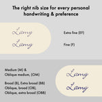 Load image into Gallery viewer, LAMY 2000 Fountain Pen black

