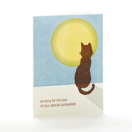 Cat Sympathy 4B Card