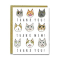 Thank Mew Cats Thank You Card