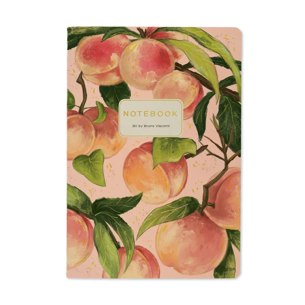 BV by Bruno Visconti Notebook A5