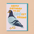 Coo Friend Birthday Card