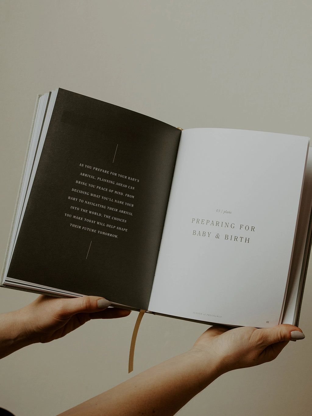 Pregnancy Journal