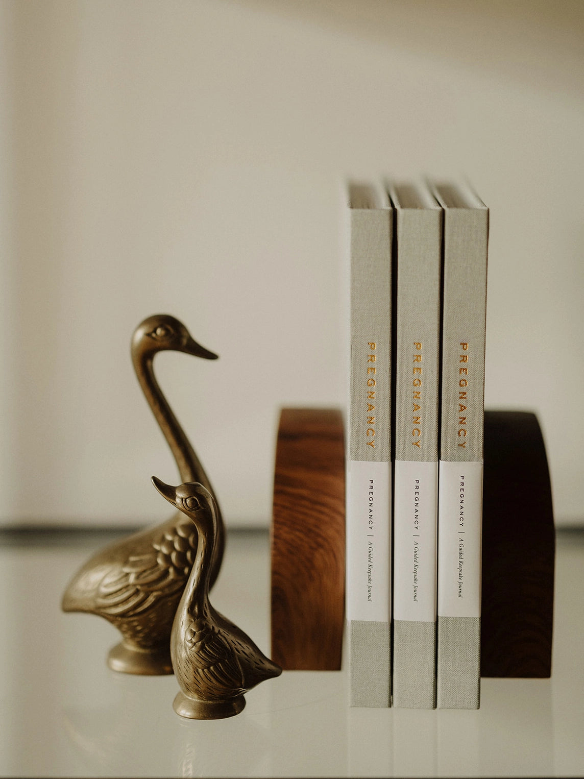 Pregnancy Journal