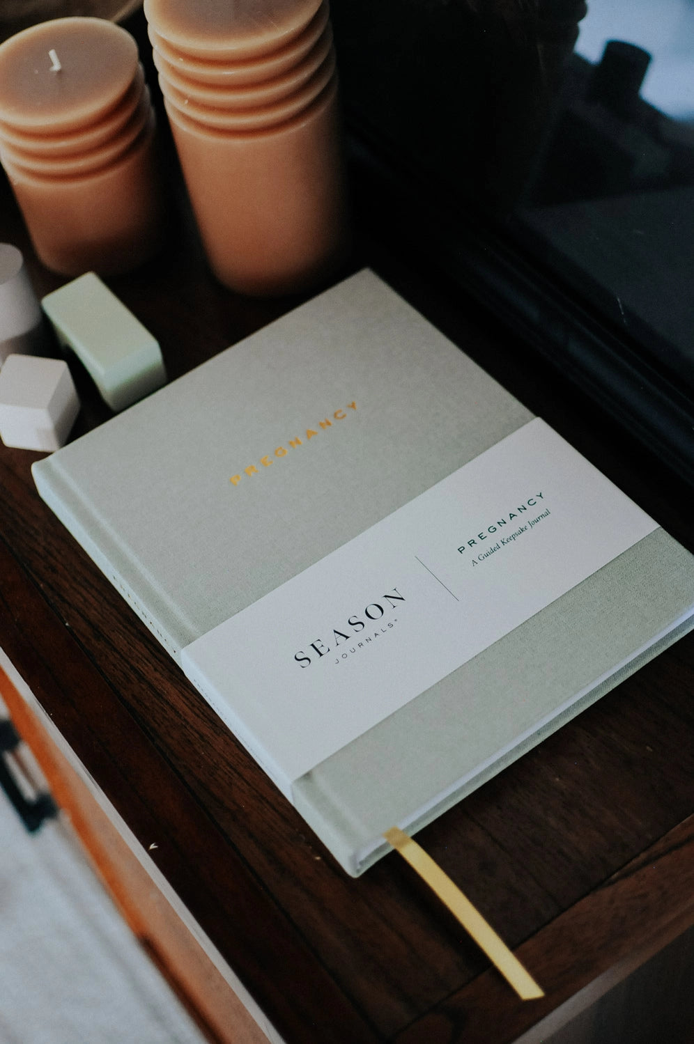 Pregnancy Journal