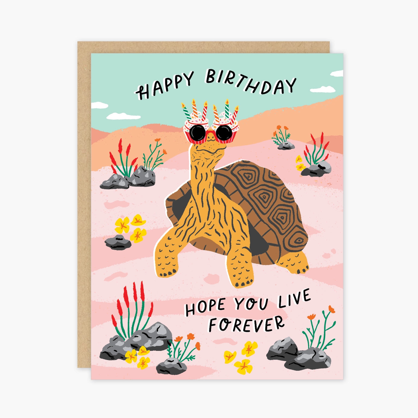 Tortoise Birthday Card