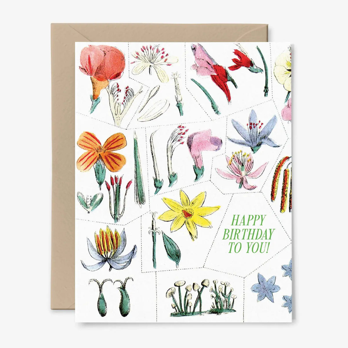 Happy Birthday To You! Card
