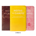 Paletas Memo Books (Pack B)