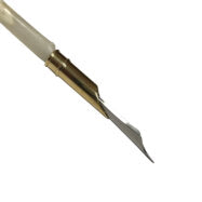 Goose Quill Pen