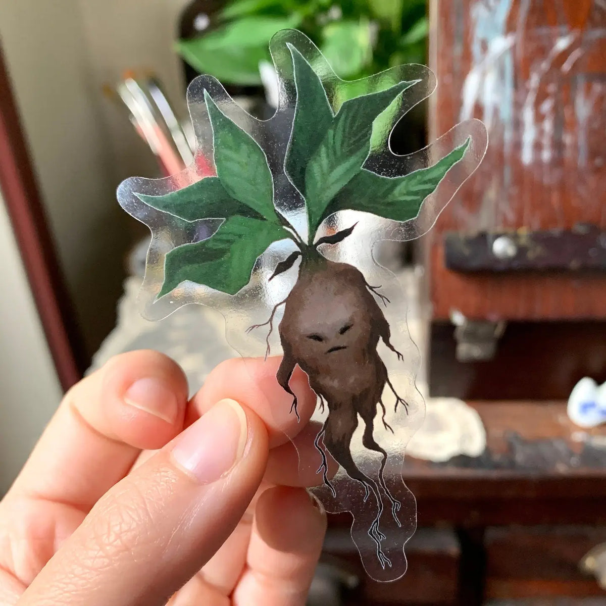 Mandrake Clear Vinyl Sticker
