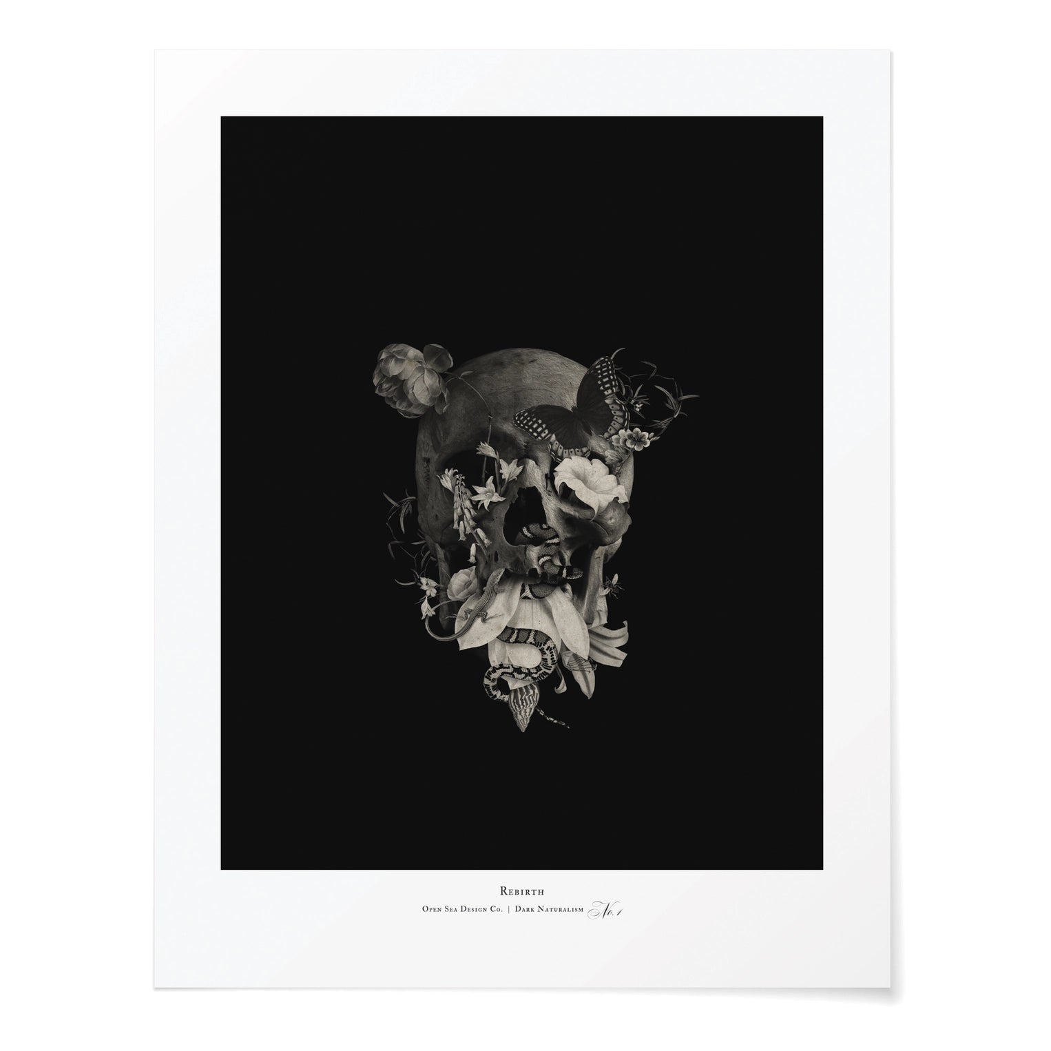 Rebirth Art Print