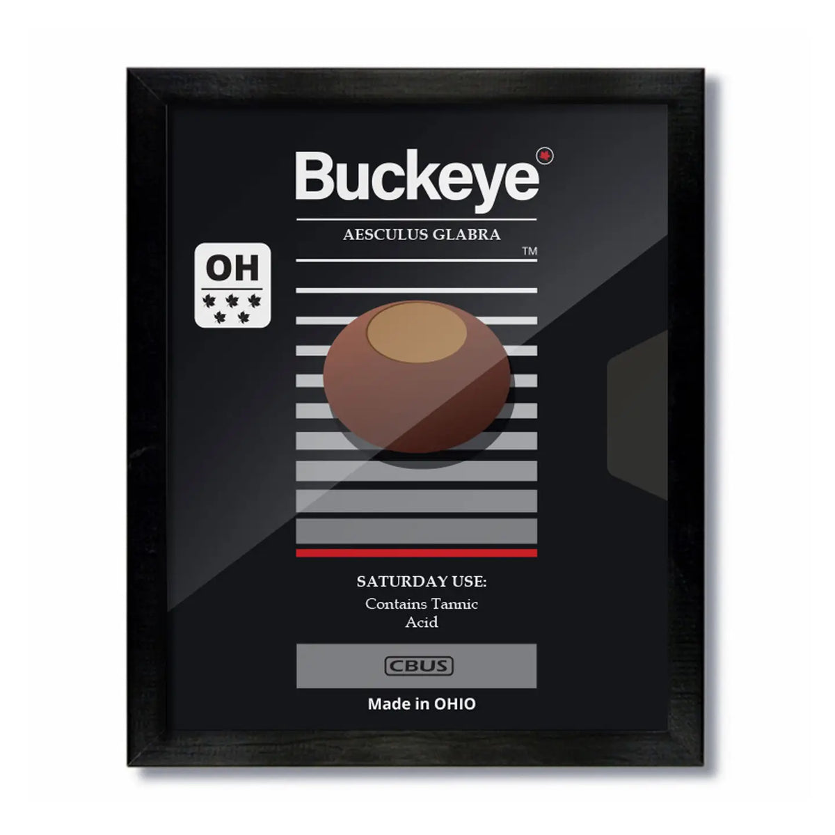 Buckeye Saturday Ohio VHS Print