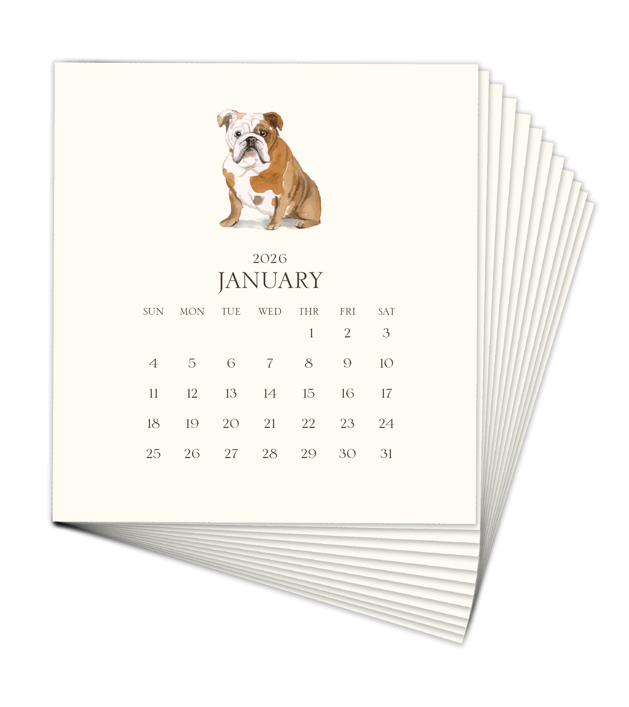 Personalized Pet Calendar 2026 Desk Calendar & Easel $50
