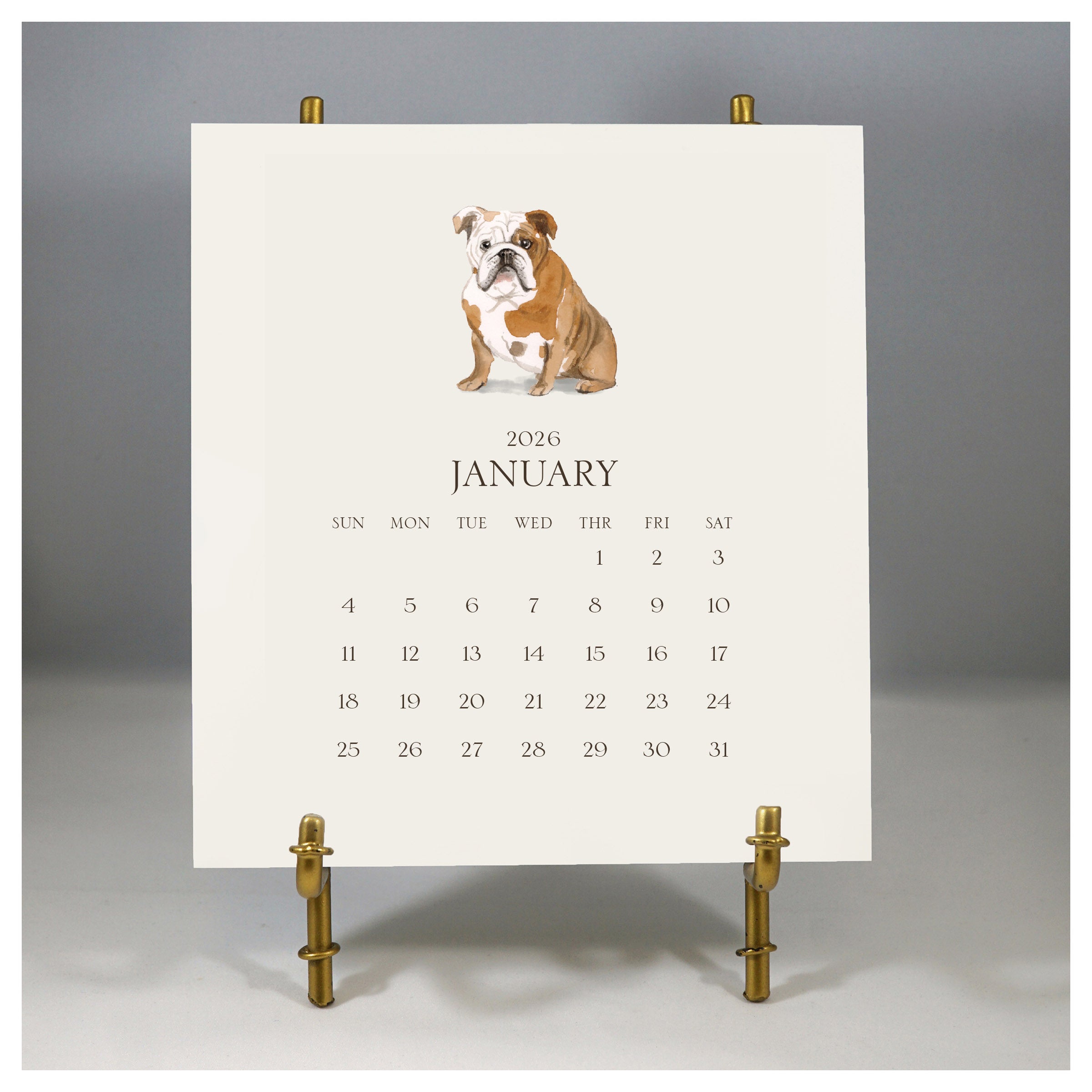 Personalized Pet Calendar 2026 Desk Calendar & Easel $50