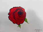 Load image into Gallery viewer, Art Prints by Parris Richie
