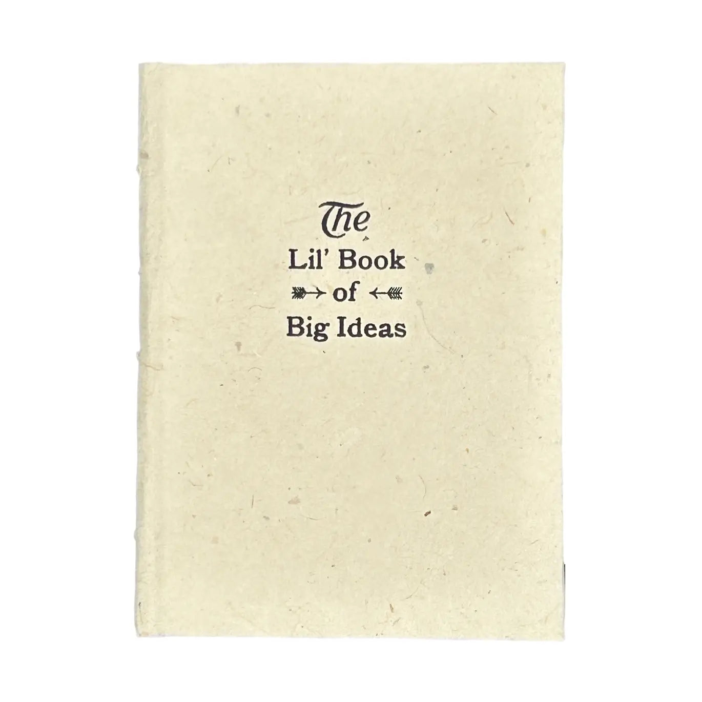 Lil' Book of Big Ideas Journal
