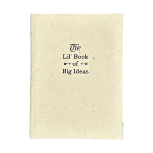 Lil' Book of Big Ideas Journal
