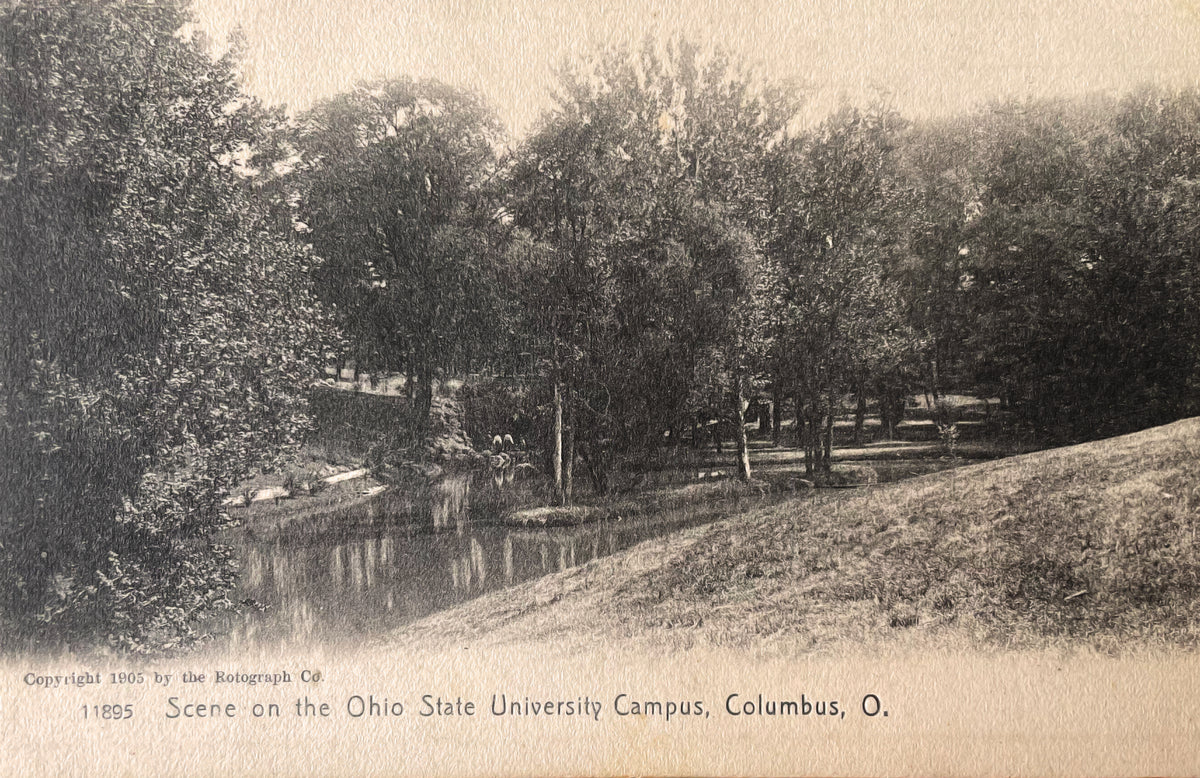 OSU 1905 Postcard