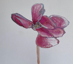 Load image into Gallery viewer, Art Prints by Parris Richie
