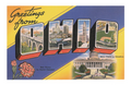 Greetings from OHIO Vintage Postcard