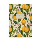BV by Bruno Visconti Notebook A5