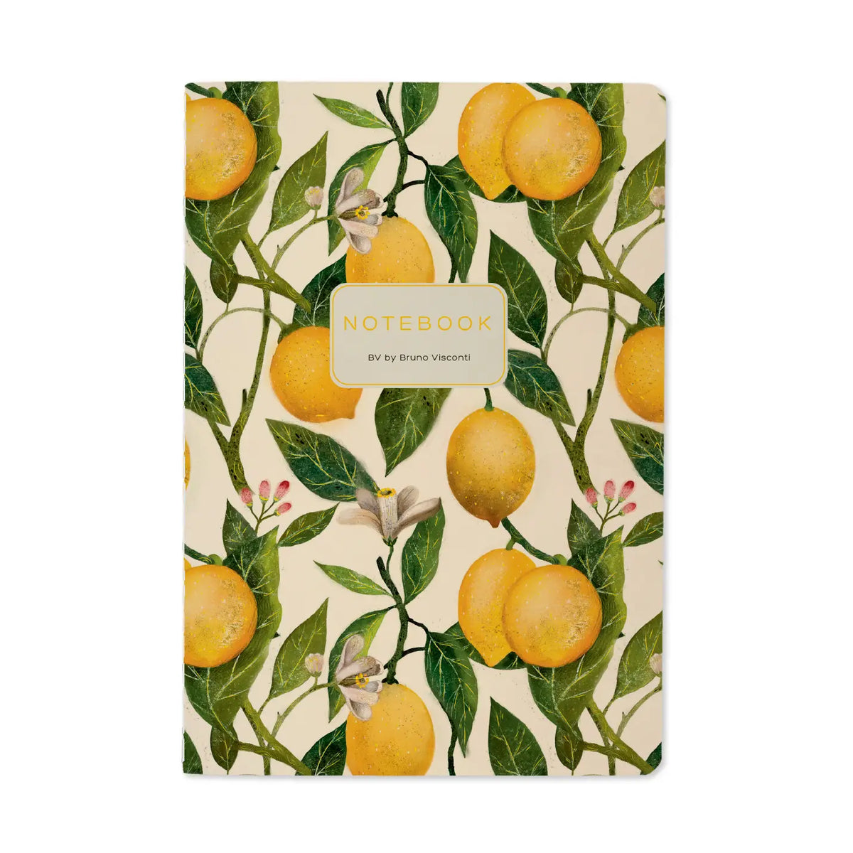BV by Bruno Visconti Notebook A5