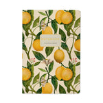 Load image into Gallery viewer, A5 Notebook BV by Bruno Visconti
