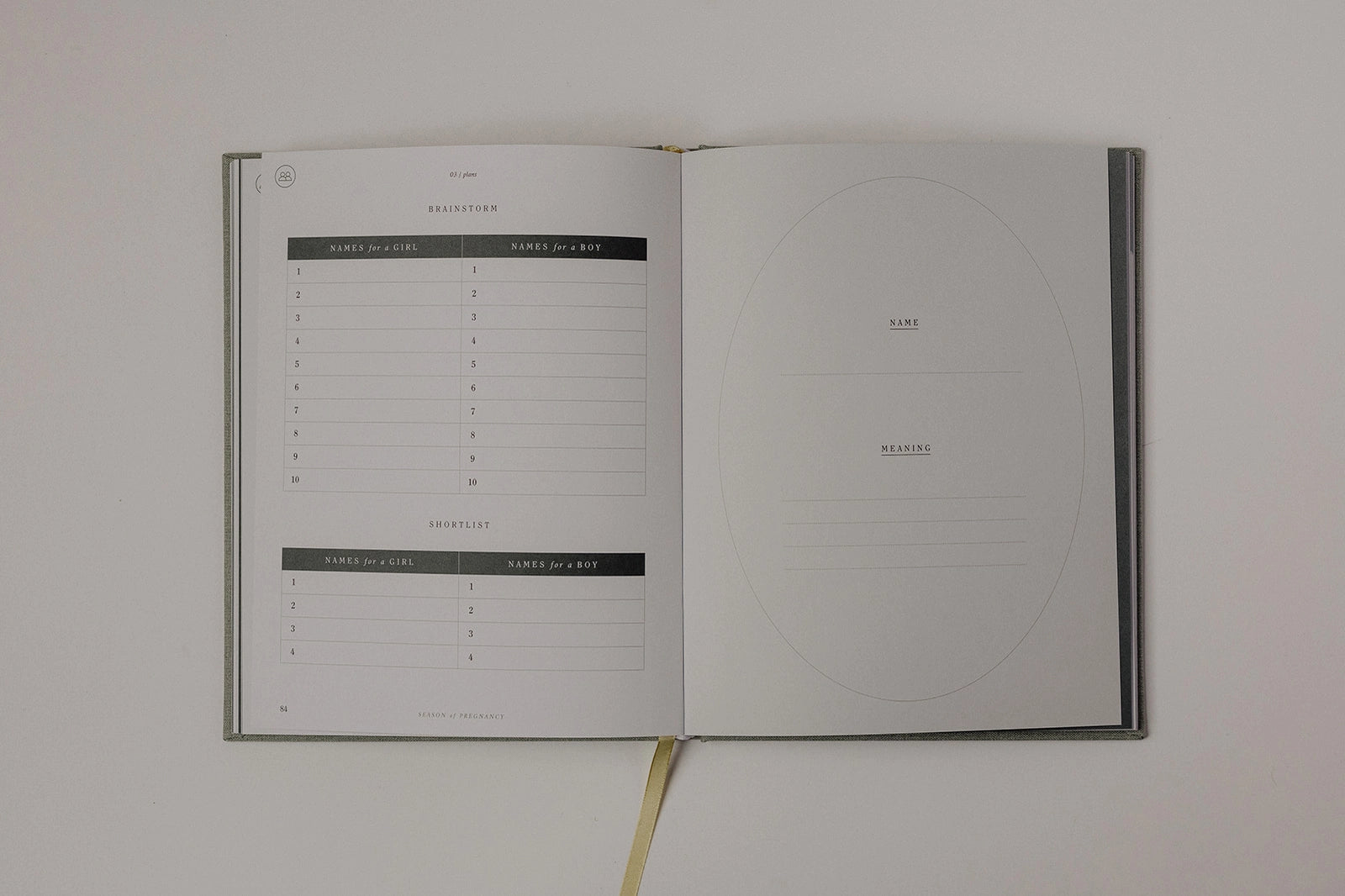 Pregnancy Journal