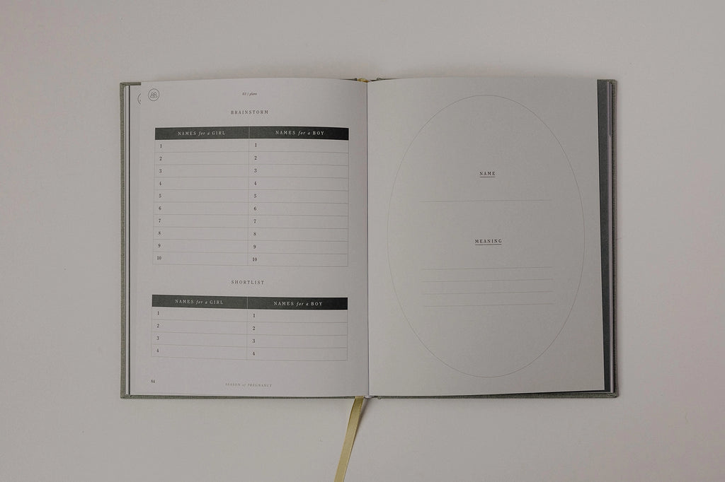 Pregnancy Journal