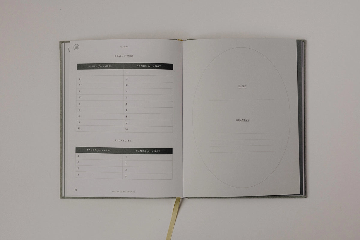 Pregnancy Journal