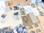 Load image into Gallery viewer, Portrait Ephemera Kit For Paper Crafting
