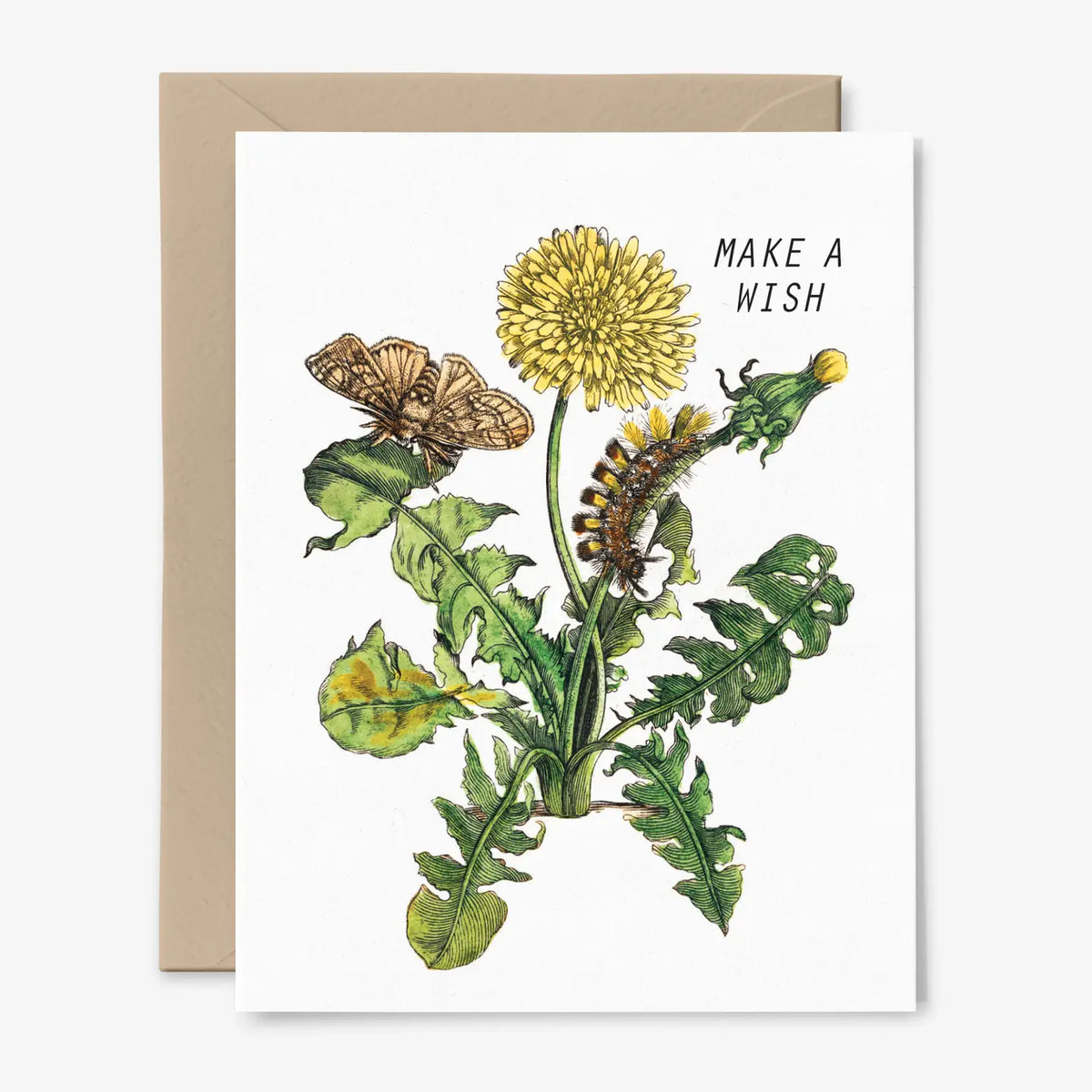 Make A Wish Dandelion Card
