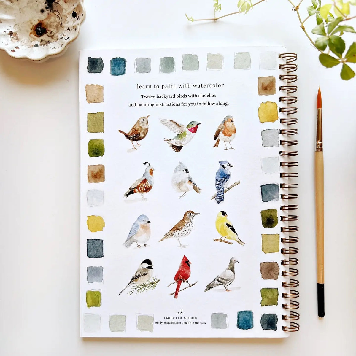 Emily Lex Watercolor Workbook - Birds