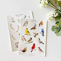 Emily Lex Birds Sticker Sheets