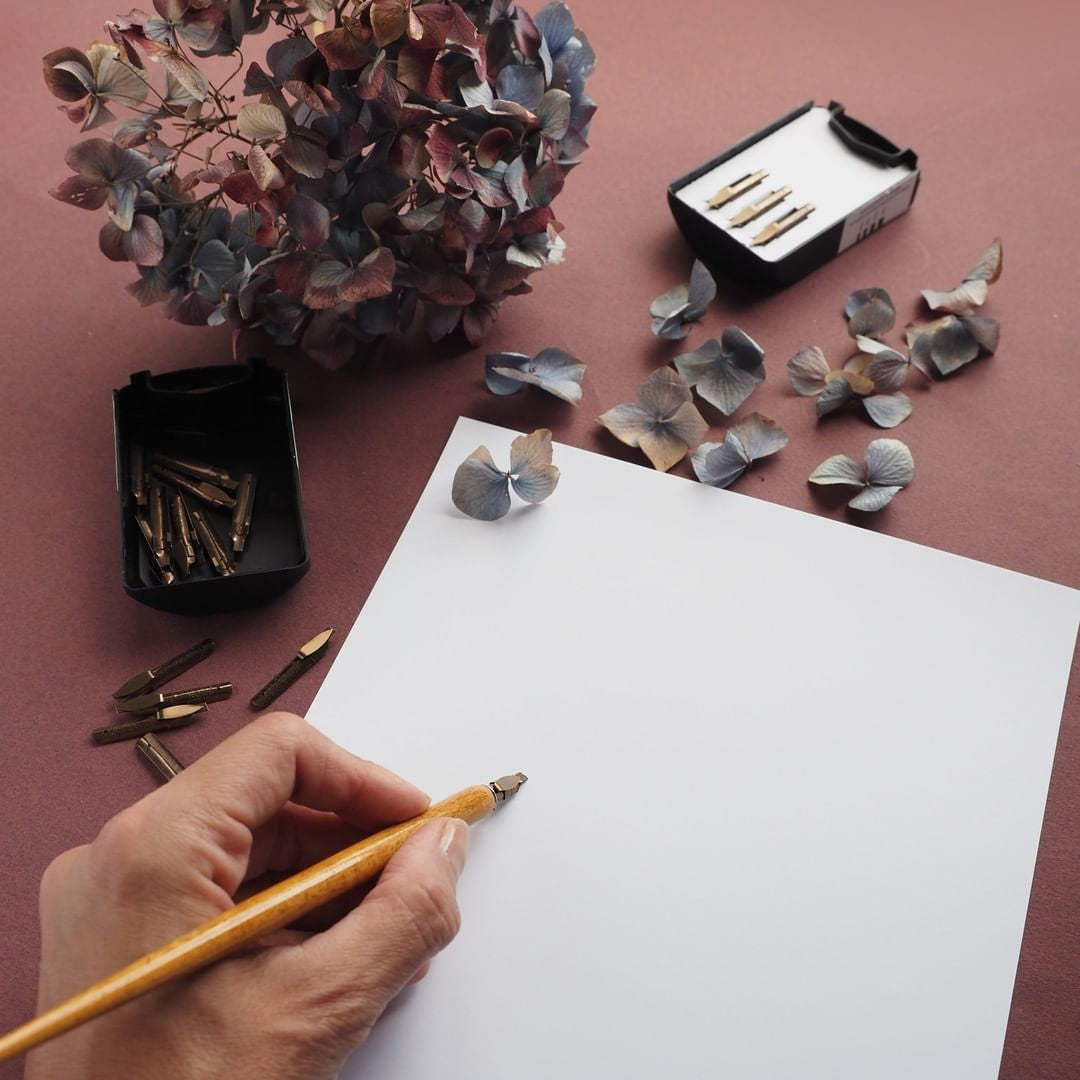 Calligraphy Nibs & Natural Wood Nib Holders