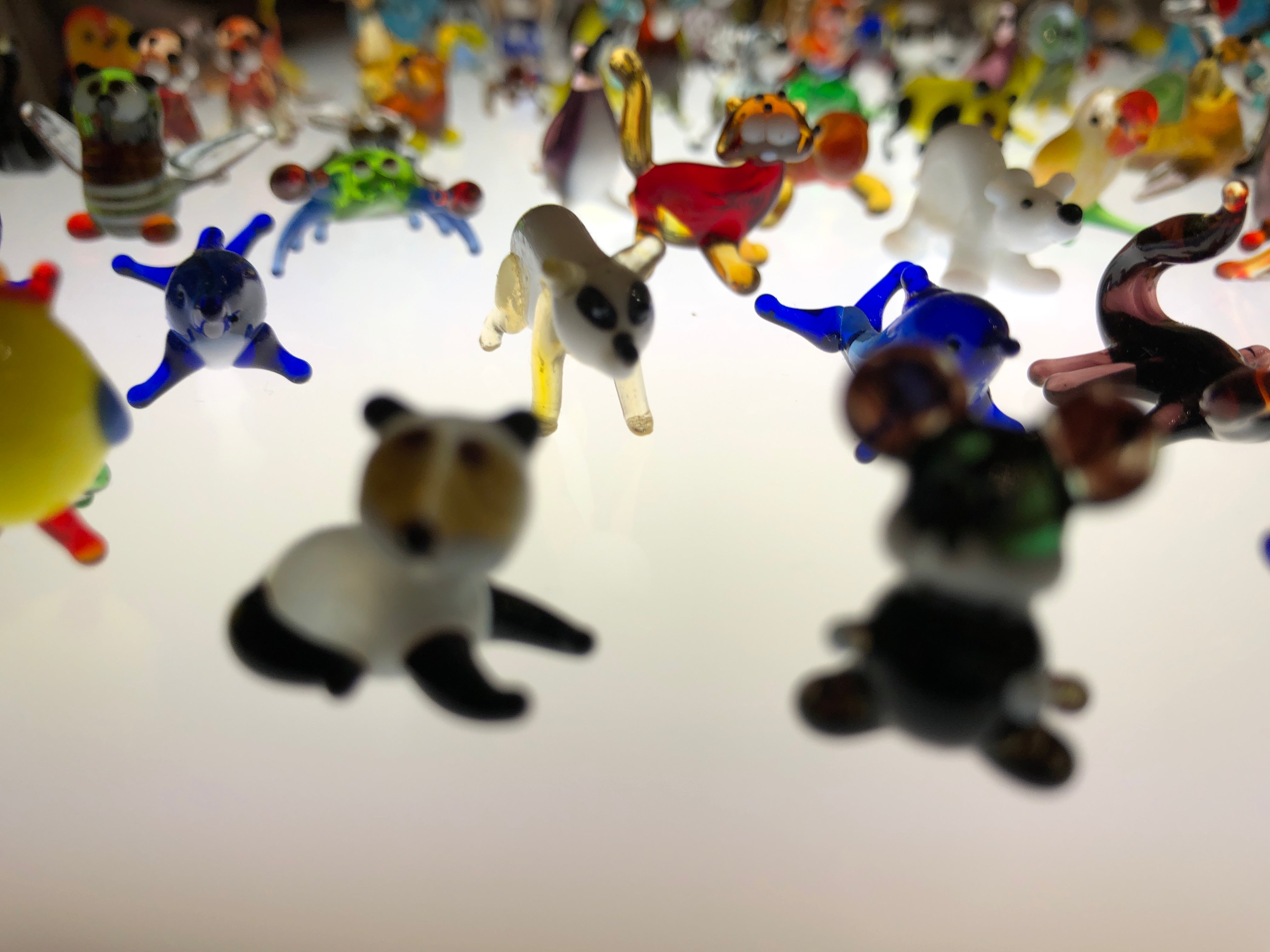 Tiny Glass Animals